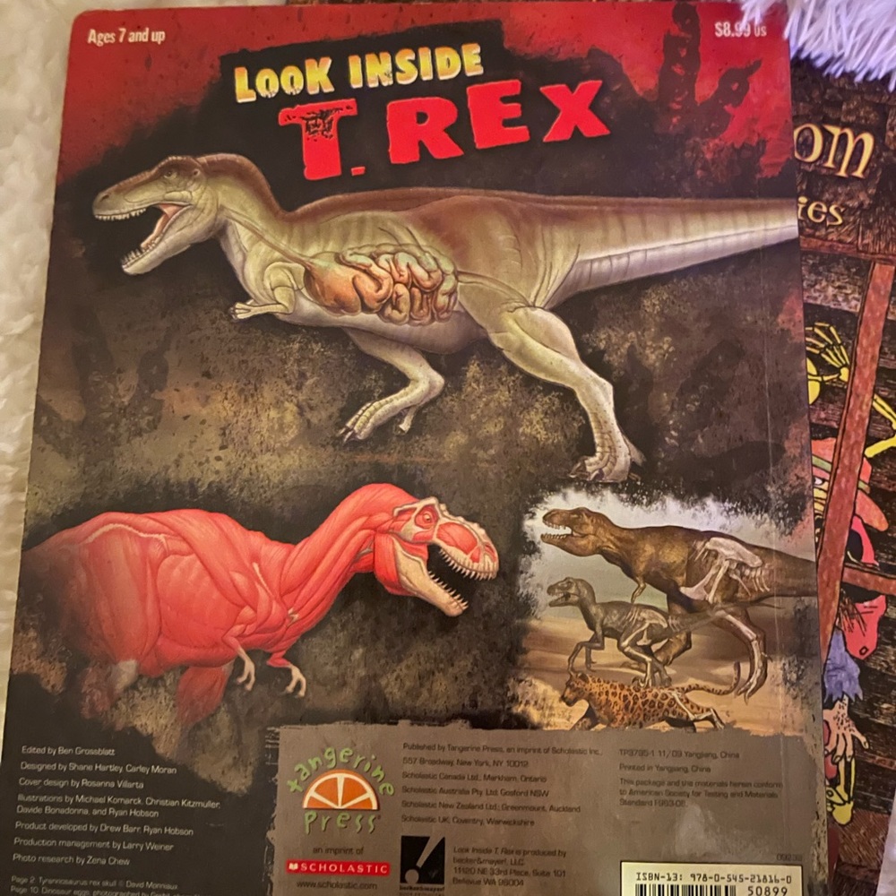 Book bundle - Picture 7 of 9